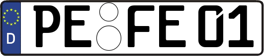 PE-FE01
