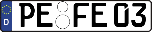 PE-FE03