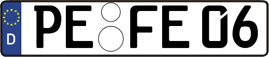 PE-FE06