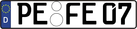 PE-FE07
