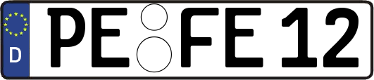 PE-FE12