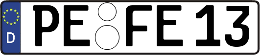 PE-FE13