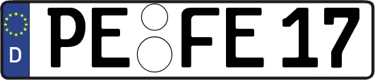 PE-FE17