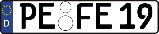 PE-FE19