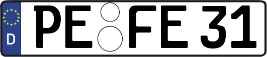 PE-FE31