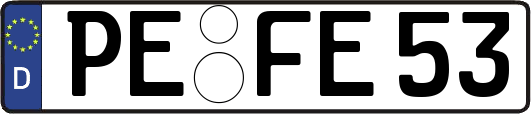 PE-FE53