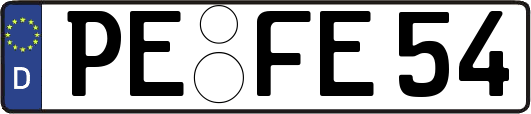 PE-FE54
