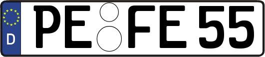 PE-FE55