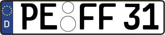 PE-FF31