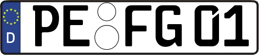 PE-FG01