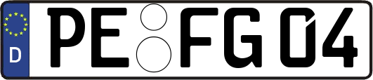 PE-FG04
