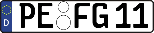 PE-FG11