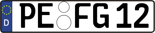 PE-FG12