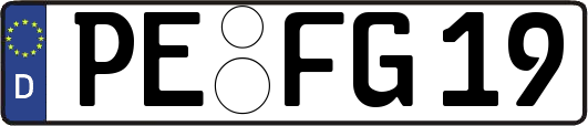 PE-FG19