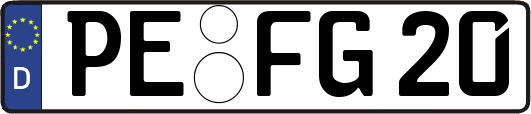 PE-FG20
