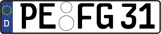 PE-FG31