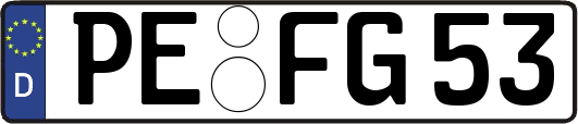 PE-FG53