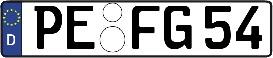 PE-FG54
