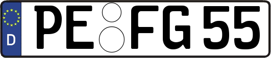 PE-FG55