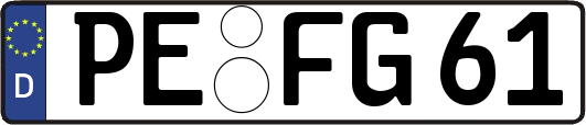 PE-FG61
