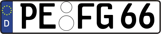 PE-FG66