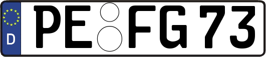 PE-FG73