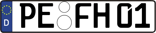 PE-FH01