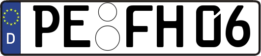 PE-FH06
