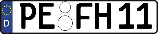 PE-FH11