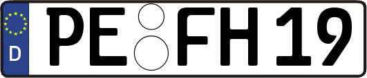 PE-FH19