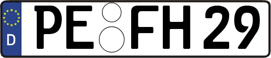 PE-FH29