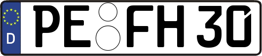 PE-FH30