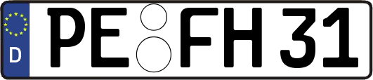 PE-FH31