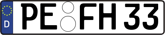 PE-FH33