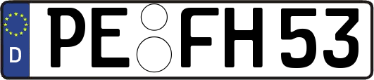 PE-FH53