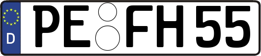 PE-FH55