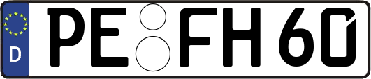PE-FH60