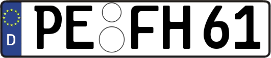 PE-FH61