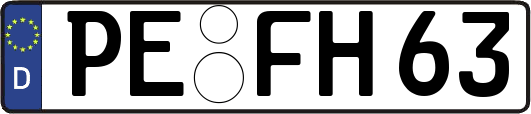 PE-FH63