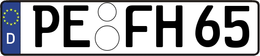 PE-FH65