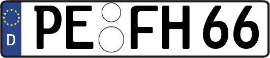 PE-FH66
