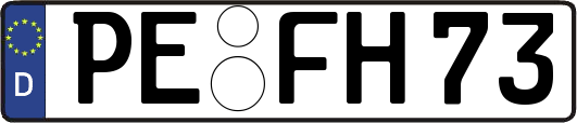 PE-FH73