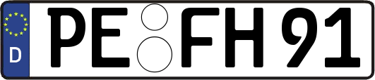 PE-FH91