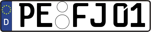 PE-FJ01
