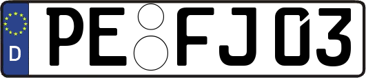 PE-FJ03