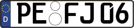 PE-FJ06