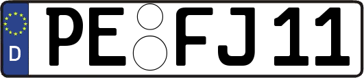 PE-FJ11