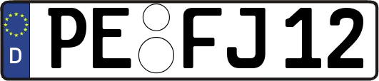 PE-FJ12