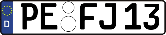 PE-FJ13