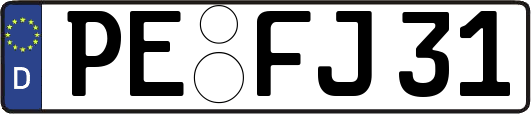 PE-FJ31